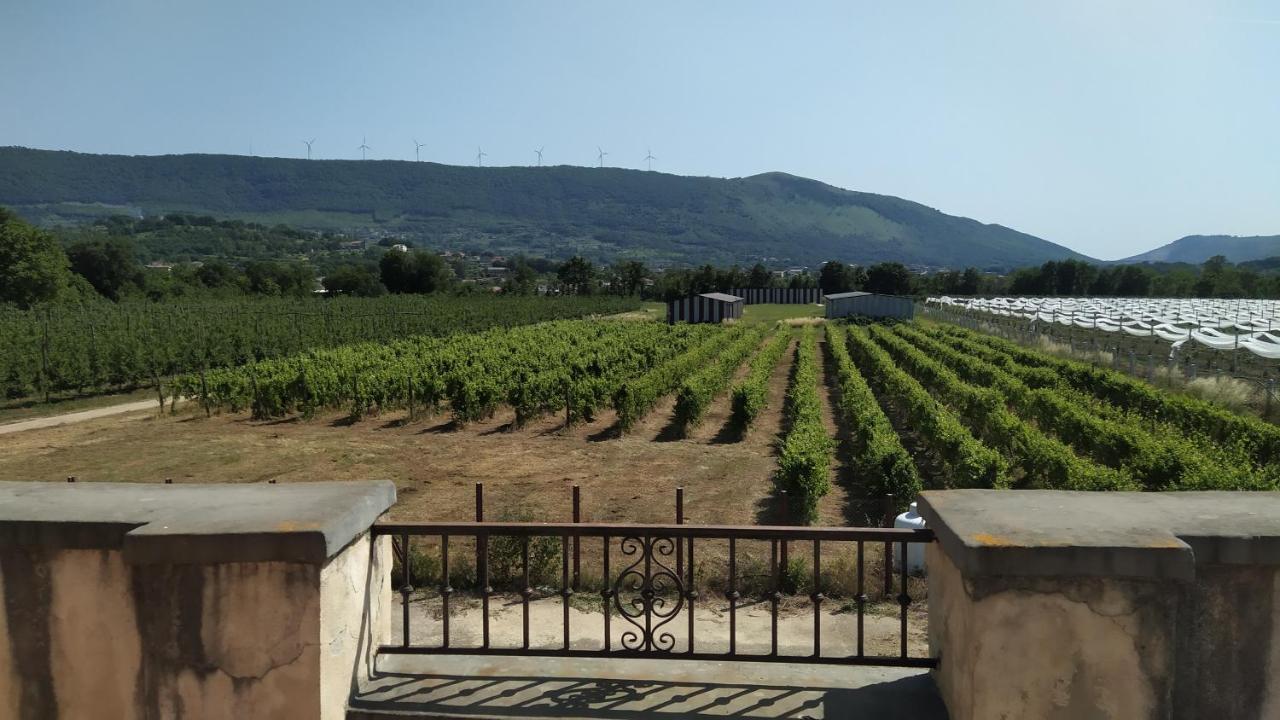 Agriturismo Il Casale Del Cavaliere SantʼAgata deʼ Goti Eksteriør bilde