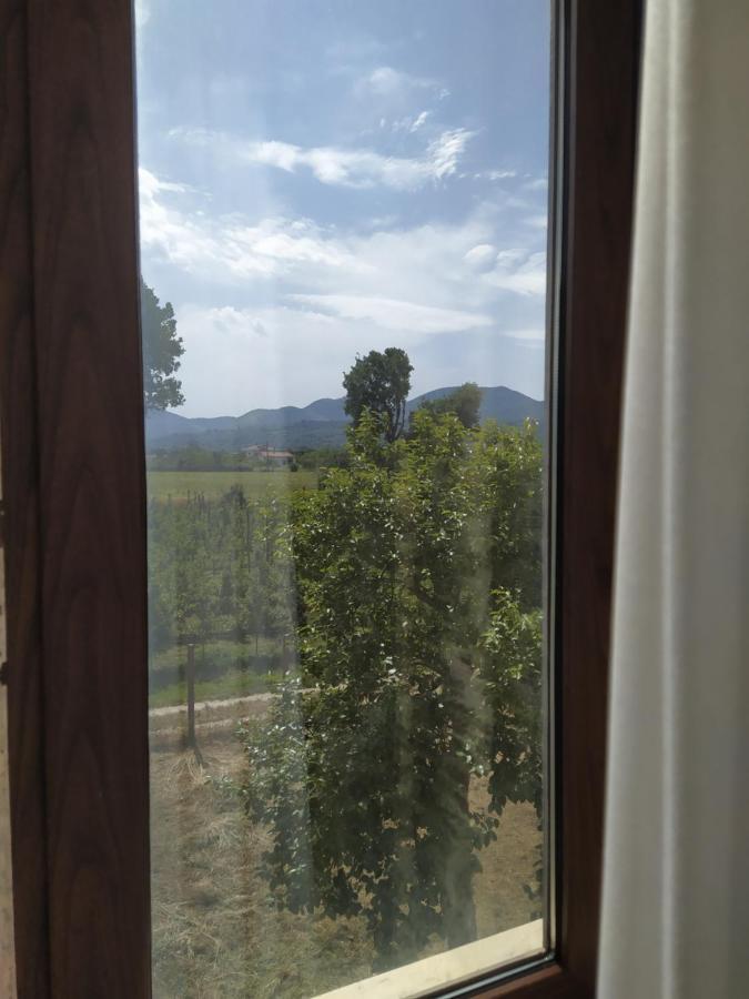 Agriturismo Il Casale Del Cavaliere SantʼAgata deʼ Goti Eksteriør bilde
